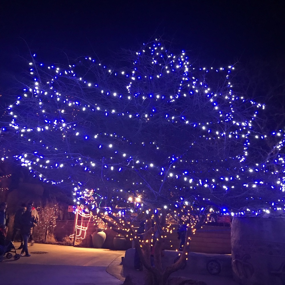 Meet your Posher, Ticoa